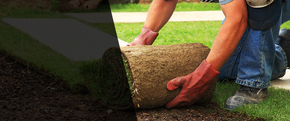 Viroqua Landscapers